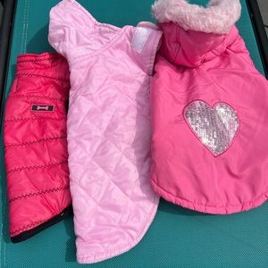 Small dog winter coats size M